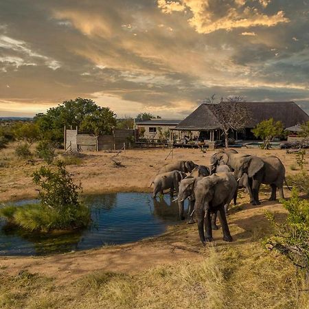 Imagine Africa Luxury Tented Camp Balule Game Reserve Εξωτερικό φωτογραφία