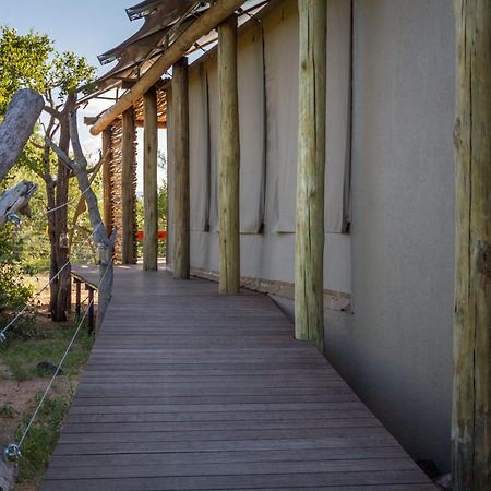 Imagine Africa Luxury Tented Camp Balule Game Reserve Εξωτερικό φωτογραφία