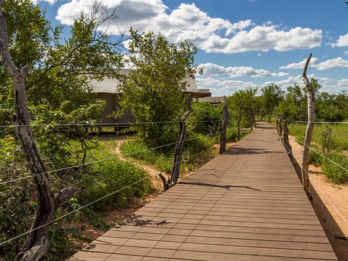 Imagine Africa Luxury Tented Camp Balule Game Reserve Εξωτερικό φωτογραφία