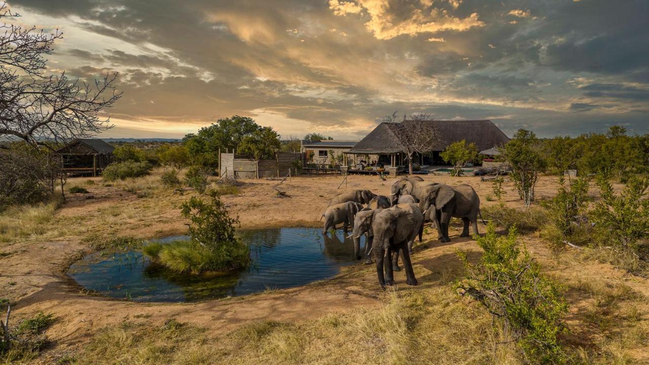 Imagine Africa Luxury Tented Camp Balule Game Reserve Εξωτερικό φωτογραφία