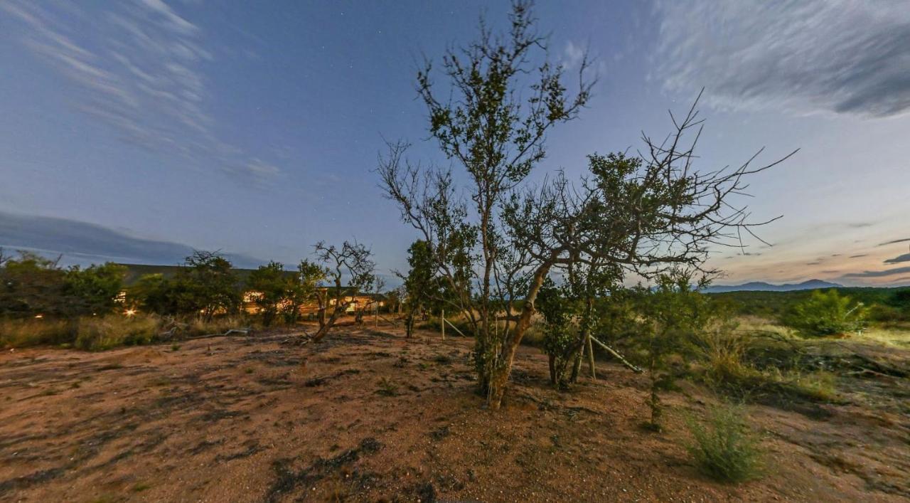 Imagine Africa Luxury Tented Camp Balule Game Reserve Εξωτερικό φωτογραφία