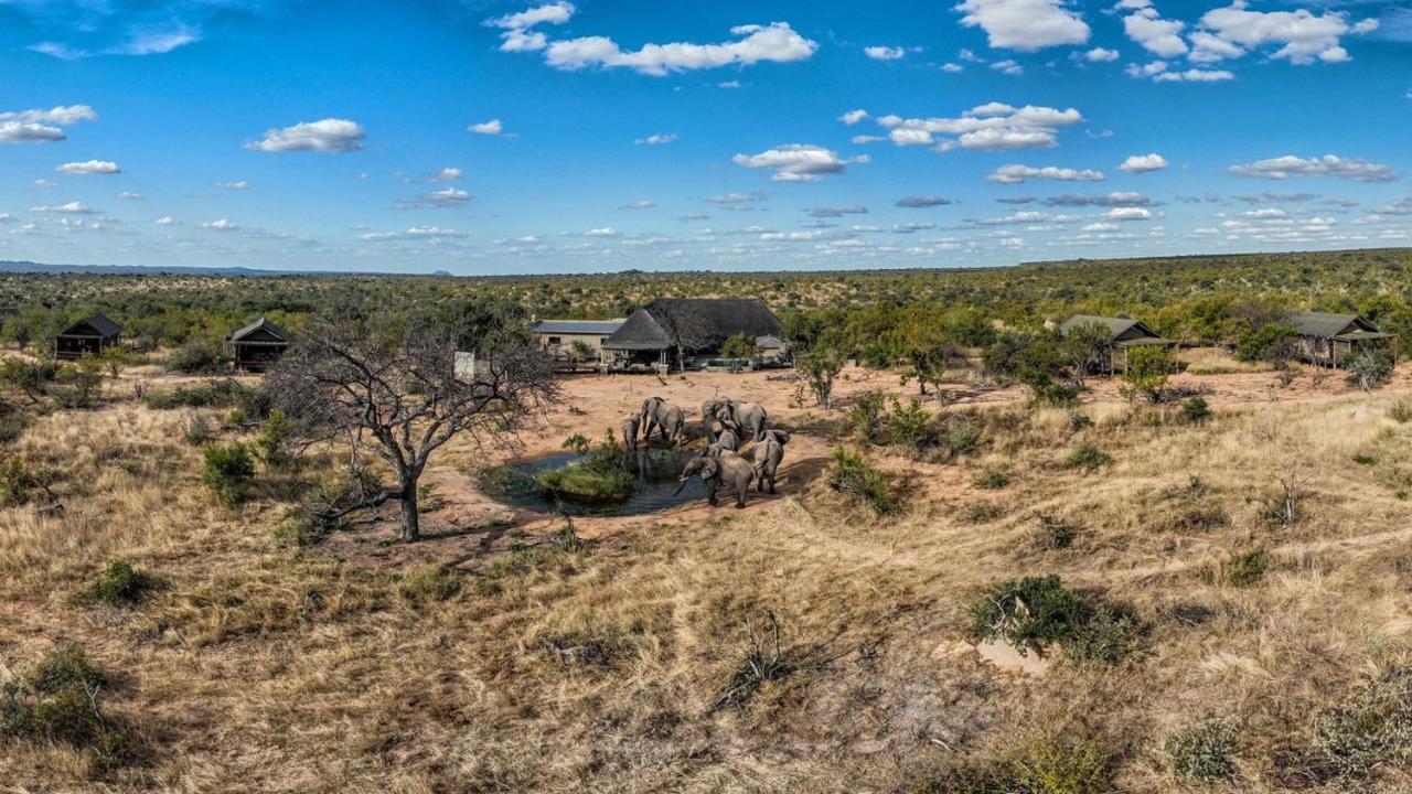 Imagine Africa Luxury Tented Camp Balule Game Reserve Εξωτερικό φωτογραφία